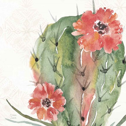 Framed Sweet Southwest V Print