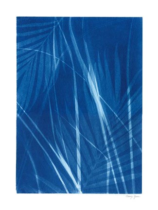Framed Cyanotype Tropical II Print