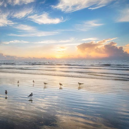 Framed Morning Beauty Print