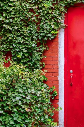 Framed Red Garden Door Print