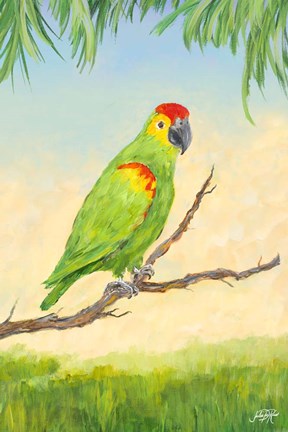 Framed Tropic Bird in Paradise II Print