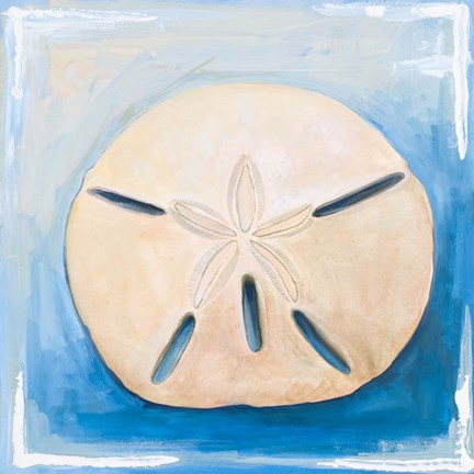 Framed Sand Dollar on Blue Print