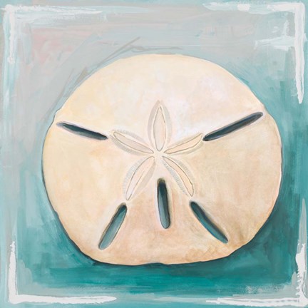 Framed Sand Dollar on Teal Print
