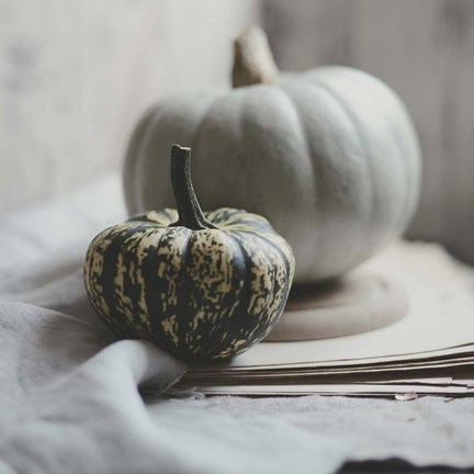 Framed Fall Bunches Print