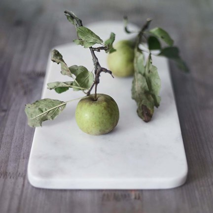 Framed Growth Begins Print