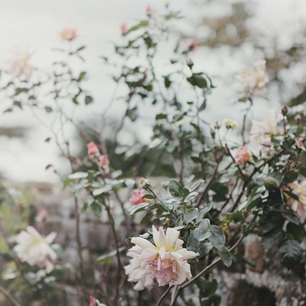 Framed Spring Views Print