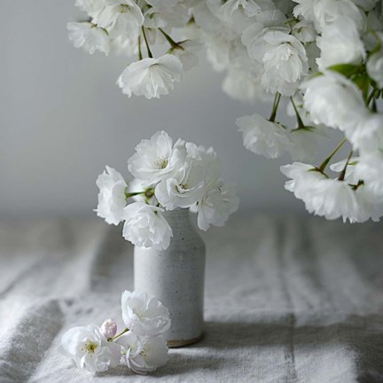 Framed Baby Blooms Print