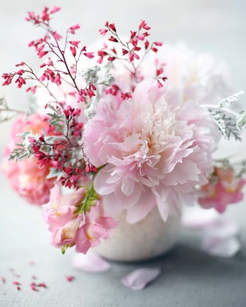 Framed Morning Bliss Print