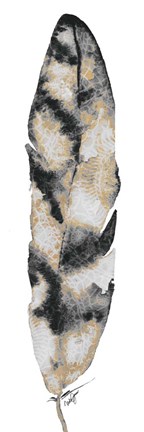 Framed Black and Gold Feather Print