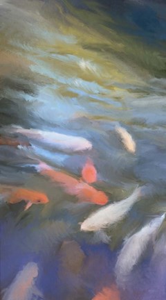 Framed Koi Pool II Print