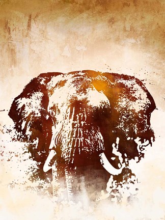 Framed Safari Elephant Print