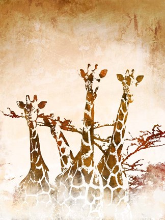 Framed Safari Giraffe II Print