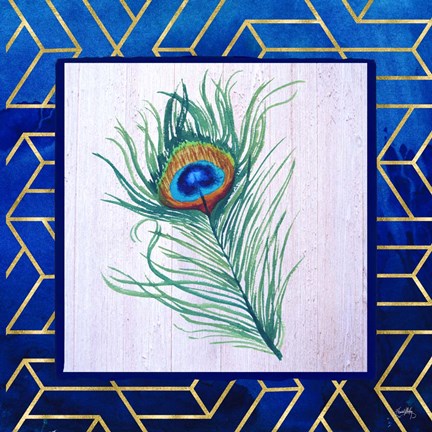 Framed Peacock Feather II Print