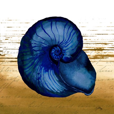 Framed Coastal Blue IV Print