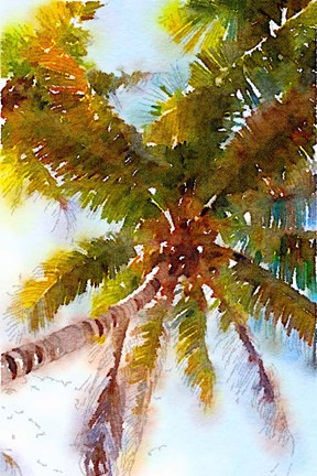 Framed Watercolor Palms II Print