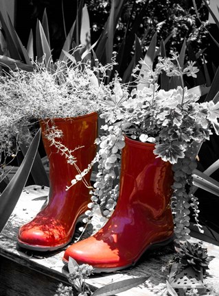 Framed Rain Boots Print