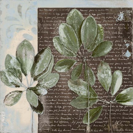 Framed Botanica on Blue I Print