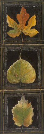 Framed Three Leaves I Print