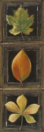 Framed Three Leaves II Print
