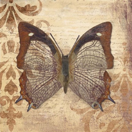 Framed Butterfly Print