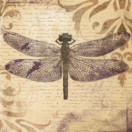 Framed Dragonfly Print