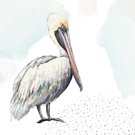 Framed Turquoise Pelican Print