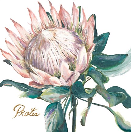 Framed Protea I Print