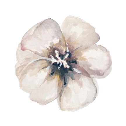 Framed Vintage Taupe Print