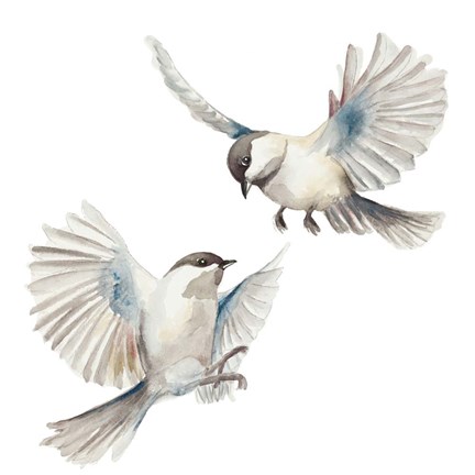 Framed Isolated Birds Print