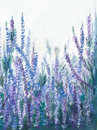 Framed Lavender Garden II Print