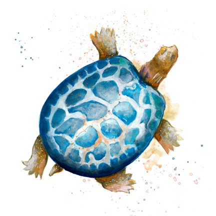 Framed Tortuga Azul Square Print