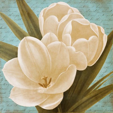 Framed Morning Tulips on Blue I Print