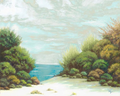 Framed Seashore II Print