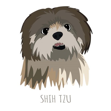 Framed Shih Tzu Print