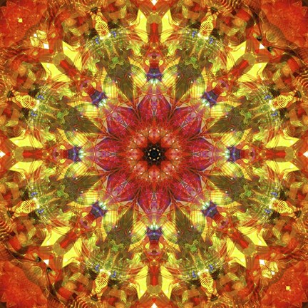 Framed Colorful Kaleidoscope 9 Print