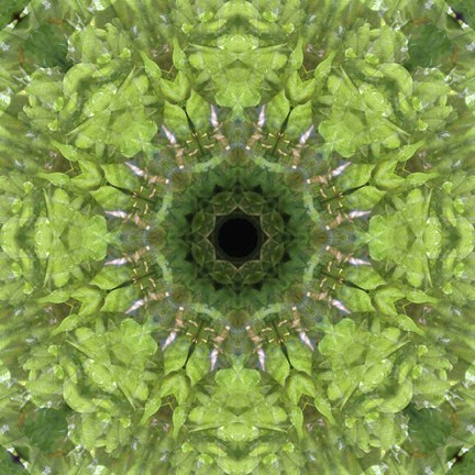 Framed Colorful Kaleidoscope 11 Print