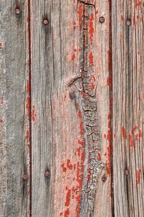 Framed Close-up of Knot Hole Print