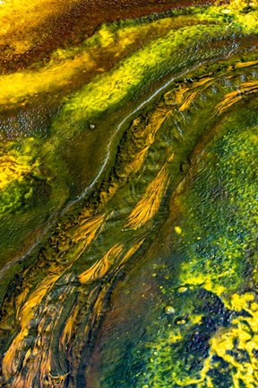 Framed Run-off at Pump Springs, Yellowstone National Park Print