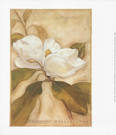 Framed Magnolia Print