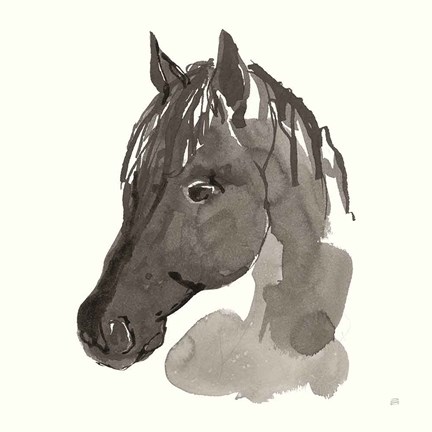 Framed Horse Portrait II Print