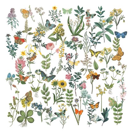 Framed Flowers and Butterflies Print