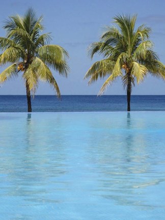 Framed Infinity Pool Surrounded By Palm Trees Print