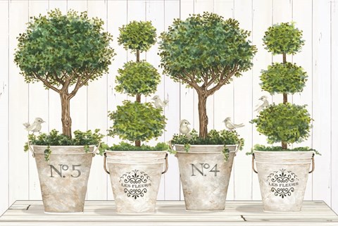 Framed Topiary Still Life Print