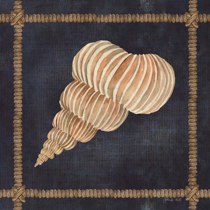 Framed Seashell on Navy III Print