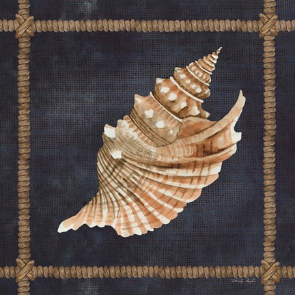 Framed Seashell on Navy V Print