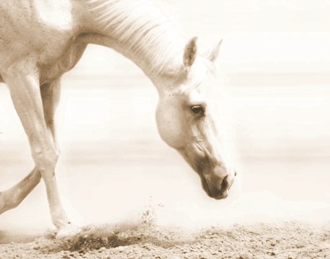 Framed Trail Horse Sepia Print