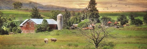 Framed Grazing Sheet Print