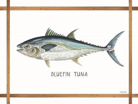 Framed Bluefin Tuna on White Print