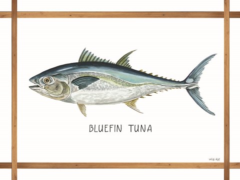 Framed Bluefin Tuna on White Print