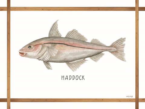 Framed Haddock on White Print